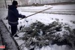 برف تکانی درختان شهرک خاوران در پی بارش برف