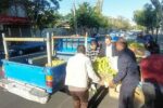 جمعآوری ۱۷۰ خودرو سد معبری و طبق میوه فروش از سطح منطقه ۴