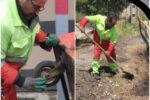پاکبان تبریزی حین انجام کار جان باخت