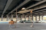 آغاز اجرای طرح نورپردازی پل روگذر شهیدان حضرتپور با هزینهای بالغ بر ۳۰ میلیارد ریال