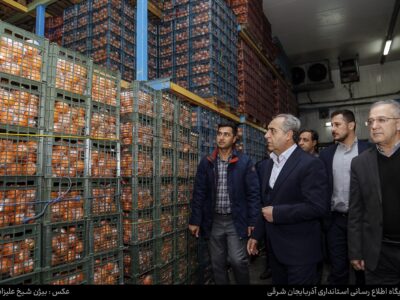 ذخیره میوه شب عید به میزان کافی است