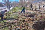 آماده‌سازی ۳۲ بوستان در جنوب‌غرب تبریز در آستانه بهار