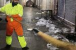 افزایش ساعات رفت و روب و جمعآوری زباله بافت مرکزی تبری در آستانه بهار