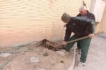 کاشت ۳۰۰ نهال میوه در منازل شهروندان سطح حوزه شهرداری منطقه یک تبریز