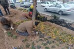 آغاز گلکاری پارکها و فضای سبز منطقه ۱۰ به مناسبت استقبال از بهار