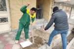 اجرای طرح کاشت نهال در منازل توسط شهرداری منطقه ۵ تبریز
