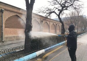 اجرای عملیات سمپاشی درختان در معابر مرکزی شهر