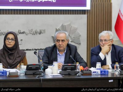 فرش تبریز شناسنامه فرهنگی و اقتصادی ایران است/ تدوین بسته حمایتی ویژه برای تقویت هنر-صنعت فرش تبریز / مجلس باید برای بیمه فرشباف‌ها بودجه اختصاص دهد/ ضرورت تامین مالی پروژه تکمیل موزه فرش آذربایجان