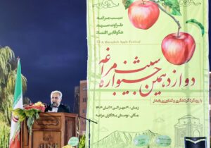 هر شهر را با یک محصول شاخص، برندسازی می‌کنیم/ زنجیره ارزش سیب از باغ تا بازار باید تکمیل شود