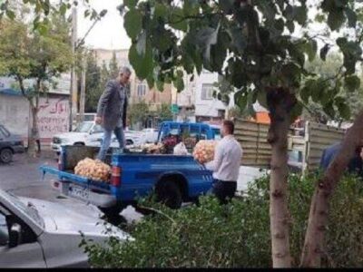 جمع‌آوری ۱۶۴ خودرو و طبق میوه فروش سد معبری ازسطح منطقه ۴