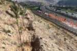 کاشت گونههای مقاوم در شیبهای شهرک مرزداران مشرف به اتوبان پاسداران