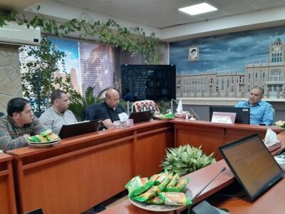 لزوم احیاء و پیاده محور کردن مسیرهای تاریخی و گردشگری منطقه۸
