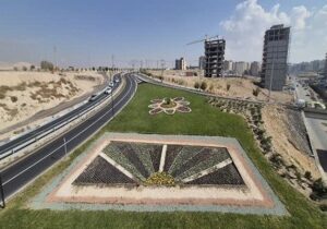 فرش گل، زیر پای ساکنان خاوران؛ تلفیقی از رنگ و آرامش در فصل برگ‌ریزان