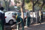 آغاز عملیات کند و کوب خاک درختان در فضاهای سبز شهرداری منطقه ۸