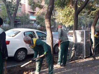 آغاز عملیات کند و کوب خاک درختان در فضاهای سبز شهرداری منطقه ۸