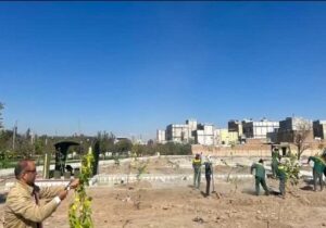 رویش سبزینگی در مسیر توسعه/ "باغ امیر" جان گرفت