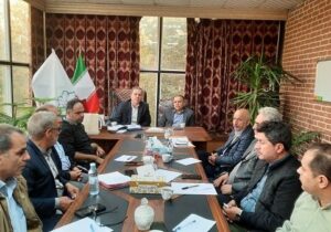 ایمن‌ سازی گسترده پاساژها، توسعه فضای سبز و احیای باغ گلستان