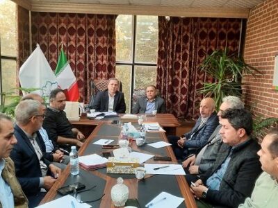 ایمن‌ سازی گسترده پاساژها، توسعه فضای سبز و احیای باغ گلستان