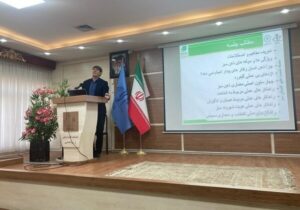 معماری ذهن سبز، روانشناسی تصمیم گیری پایدار در شهر