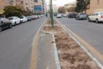 ساماندهی و مدیریت بهینه فضای سبز در شهرک رشدیه تبریز