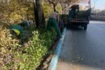 کاشت ۲۰۰۰ درختچه ارقام ردیفی در بلوار چایکنار