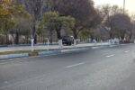 اندود تنه درختان در راستای مبارزه با آفات، بیماریهای قارچی و فیزیولوژیک