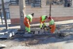اجرای طرح نگهداشت شهری در قالب "سه شنبه های خدمت" توسط شهرداری منطقه ۲