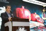 آیین یلدا جلوهای از شور فرهنگی و انس خانوادگی در جامعه ایرانی است