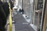 تداوم سنگفرش تربیت غربی (بالا تربیت) با وجود برودت هوا