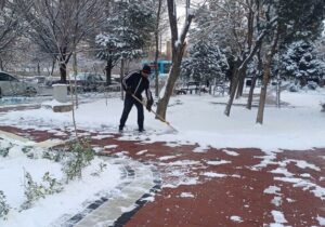 اجرای عملیات برف روبی پارکها و برف تکانی از تنه درختان بافت مرکزی تبریز