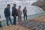 خودکفایی تولید نهال در تفرجگاه عینالی