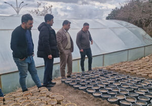خودکفایی تولید نهال در تفرجگاه عینالی