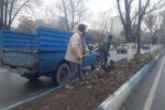 آمادهسازی بستر کاشت گلهای بهاره توسط شهرداری منطقه ۲
