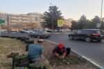 تبریز در آستانه نوروز بنفشه‌باران شد