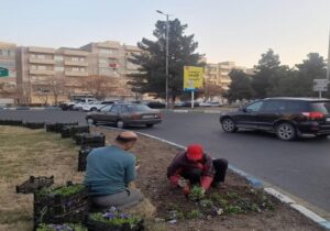 تبریز در آستانه نوروز بنفشه‌باران شد