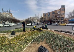تداوم گلکاری های بهاری در معابر سطح حوزه منطقه ۱۰