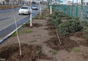 مدیریت بهینه منابع آبی با اجرای عملیات تشتک و بانکت در معابر و بوستان‌ها