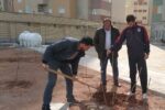 تداوم طرح کاشت نهال رایگان در منازل شهروندان منطقه ۵ تبریز