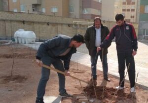 تداوم طرح کاشت نهال رایگان در منازل شهروندان منطقه ۵ تبریز