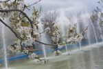 آمادگی پارکها و بوستان های شهرداری منطقه ۸ برای میزبانی از شهروندان در روز طبیعت