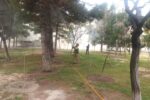سمپاشی زمستانی ۱۱۱ هزار اصله درخت در منطقه ۷ برای مقابله با آفات