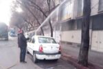 اجرای سمپاشی زمستانی، مرمت و رنگ آمیزی مبلمان شهری