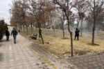 اتمام سمپاشی درختان سطح حوزه شهرداری منطقه ۲