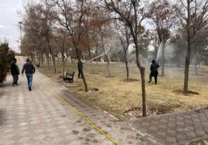 اتمام سمپاشی درختان سطح حوزه شهرداری منطقه ۲