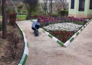 رنگآمیزی سطوح و جداول پارک باغمیشه