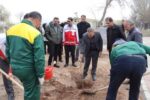 پویش درختکاری در باغ میوه شهرداری منطقه ۶ تبریز