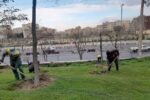 حذف علف‌های هرز و ایجاد تشتک در بوستان‌ها و رفوژهای میانی منطقه ۷