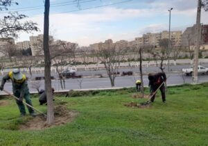 حذف علف‌های هرز و ایجاد تشتک در بوستان‌ها و رفوژهای میانی منطقه ۷
