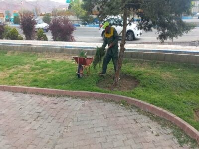 تداوم ایجاد تشتک درختان و پاکسازی علف‌های هرز در فضای سبز منطقه ۴ تبریز