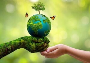 محیط زیست شهری، سرمایهای برای امروز و فردا